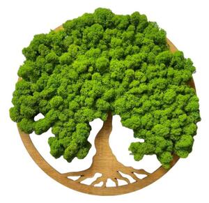 Flukoland Machový Obraz Strom života Simple 40cm