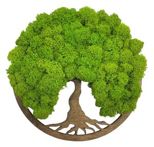 Flukoland Machový Obraz Strom života Simple Palisander 20cm