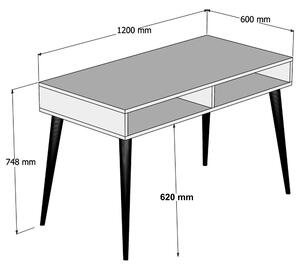 Písací stôl CISTO biela/dub
