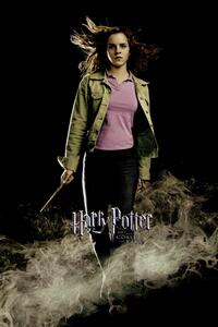 Umelecká tlač Harry Potter - Hermione Granger, (26.7 x 40 cm)