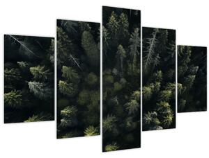 Obraz - Les (150x105 cm)