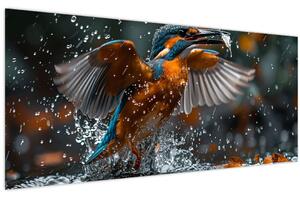 Obraz - Včelojedi (120x50 cm)