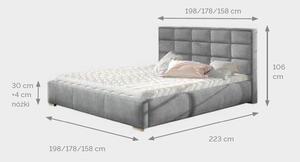 Dizajnová posteľ Raelyn 160 x 200 - Rôzne farby