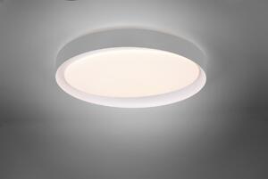 Trio R62712411 LED stropné svietidlo Zeta 1x24W | 2000L | 2700-6500K | IP20 - stmievateľné, nastavenie teploty osvetlenia, diaľkové ovládanie, sivá s bielou