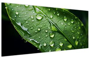 Obraz - List po daždi (120x50 cm)