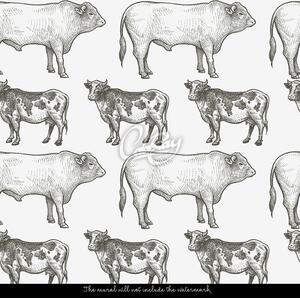 Fototapeta Zdravá krava, zdravý býk Samolepící 250x250cm