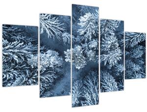 Obraz - Zasnežený les (150x105 cm)