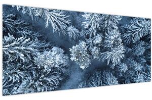 Obraz - Zasnežený les (120x50 cm)