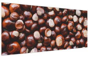 Obraz - Zrelé gaštany (120x50 cm)