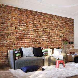 Veľkoformátová tapeta Artgeist Brick Wall, 400 x 280 cm