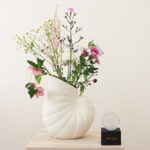 Exkluzívny set: váza Shell Pot + aranžovací krúžok Hanataba