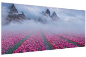 Obraz - Krajina s tulipánovými poľami (120x50 cm)