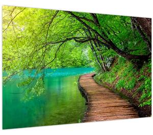 Obraz - Plitvické jazerá (90x60 cm)