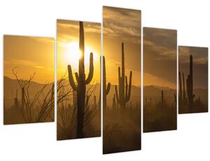 Obraz - Kaktusy Saguaro (150x105 cm)