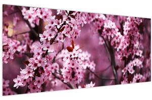 Obraz - Ružová sakura (120x50 cm)