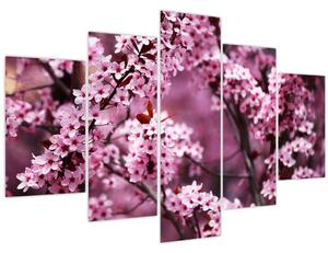 Obraz - Ružová sakura (150x105 cm)