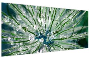 Obraz - Makro snímka kvetu (120x50 cm)
