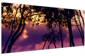 Obraz - Stromy pri západe slnka (120x50 cm)