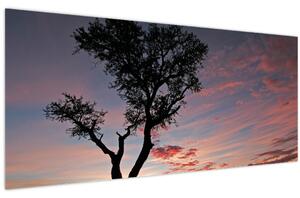 Obraz - Strom a červánky (120x50 cm)