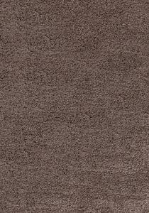 Ayyildiz koberce Kusový koberec Dream Shaggy 4000 Mocca - 60x110 cm