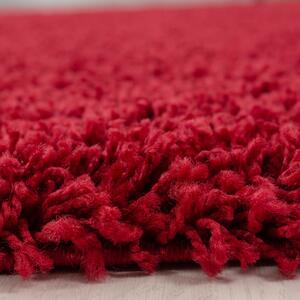 Ayyildiz koberce Kusový koberec Dream Shaggy 4000 Red Kruh - 80x80 (priemer) kruh cm