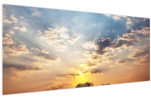 Obraz - Slony putujúce savanou (120x50 cm)