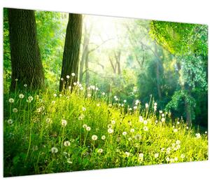 Obraz - Magická lúka plná púpav (90x60 cm)