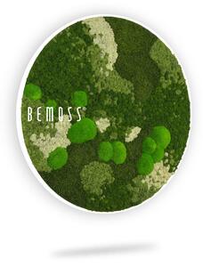 Bemoss® - E-SHOP - Machový obraz kruh BEMOSS® ORTHO