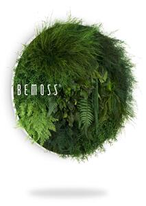 Bemoss® - E-SHOP - Machový obraz kruh Rastliny Lapas