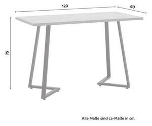 Písací Stôl Carolina 120x60 Cm