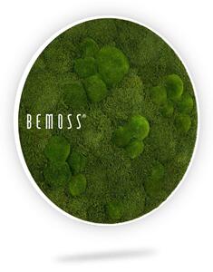 Machový obraz kruh Flatmoss Bolmoss Natural Green