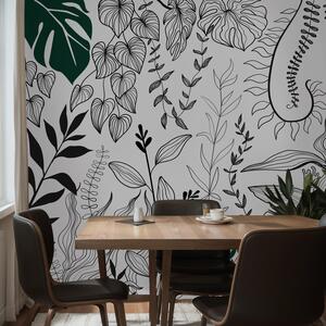 Fototapeta - Botanická záhrada (147x102 cm)