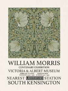 Obrazová reprodukcia Pimpernel (Special Edition) - William Morris, (30 x 40 cm)
