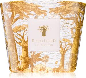 Baobab Collection Sacred Trees Bounkani vonná sviečka 500 g