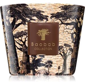 Baobab Collection Sacred Trees Mankono vonná sviečka 500 g