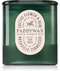 Paddywax Vista Cactus Flower & Aloe vonná sviečka 340 g