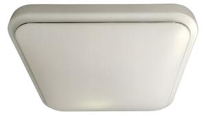 Stropné LED svietidlo Greg, 1x LED 13w, 4000k, w