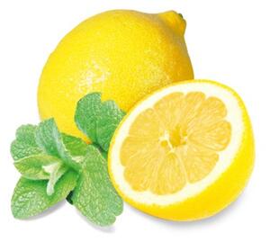 Sentiotec esencia do sauny mäta a citrón 1000 ml