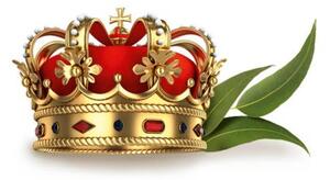 Sentiotec infra parfumovaný gél Royal Eucament