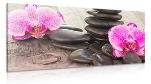 Obraz orchidea a Zen kamene na drevenom podklade