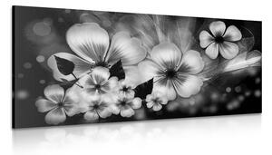 Obraz fantázia kvetov v čiernobielom prevedení Varianta: 100x50
