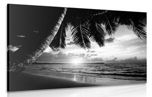 Obraz východ slnka na karibskej pláži v čiernobielom prevedení Varianta: 120x80