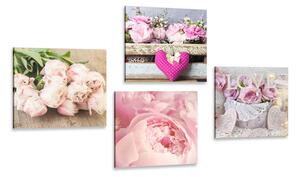 Set obrazov kvety vo vintage štýle Varianta: 4x 40x40