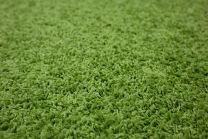 Vopi koberce Kusový koberec Color shaggy zelený guľatý - 57x57 (priemer) kruh cm