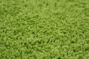 Vopi koberce Kusový koberec Color shaggy zelený srdce - 120x120 cm