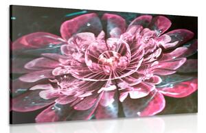 Obraz magický ružový kvet Varianta: 60x40