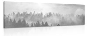Obraz hmla nad lesom v čiernobielom prevedení Varianta: 150x50