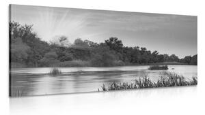 Obraz východ slnka pri rieke v čiernobielom prevedení Varianta: 120x60