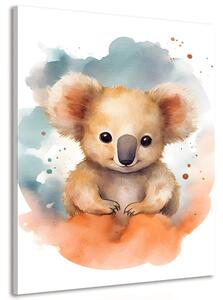 Obraz zasnená koala