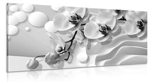 Obraz čiernobiela orchidea na abstraktnom pozadí Varianta: 100x50